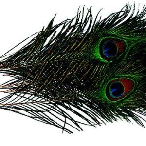 Peacock eyes